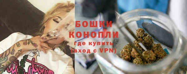 гидра Баксан