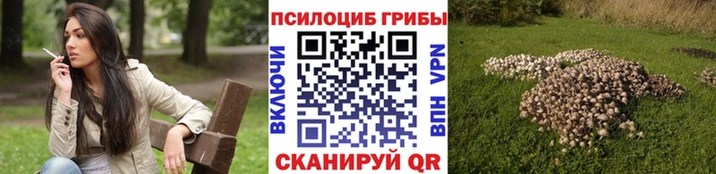 Галлюциногенные грибы Psilocybine cubensis  mega сайт  Эртиль 